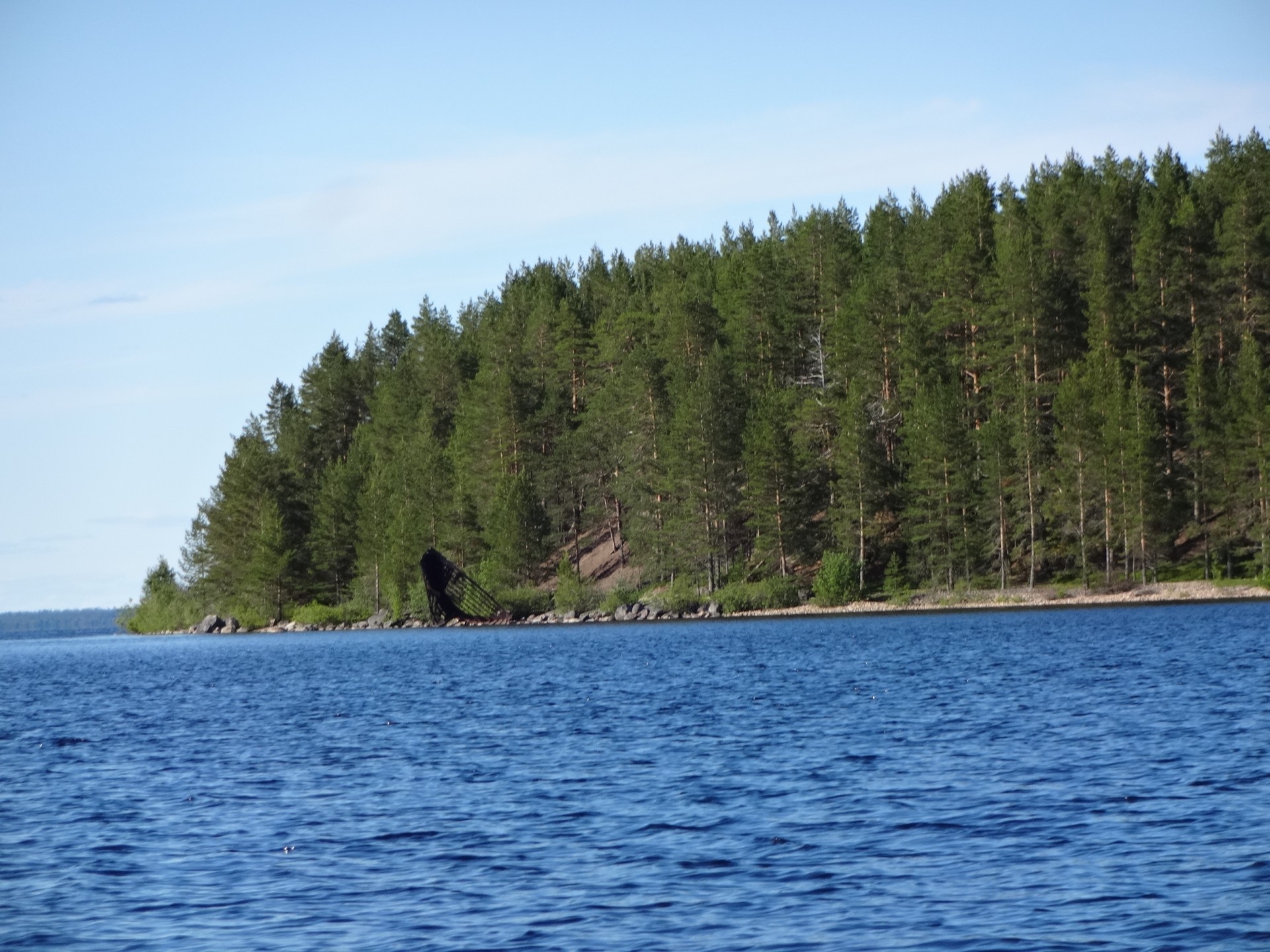 Palopää ja sen kärjessä vanhan jaalan raato